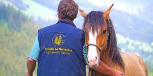 Igls Lareschs, Tinizong: Pferdezucht «Criollo La Helvetica» – Willkommen