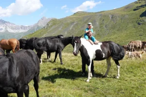 Bombilla La Primera (Pferdezucht «Criollo La Helvetica», Igls Lareschs, Tinizong)