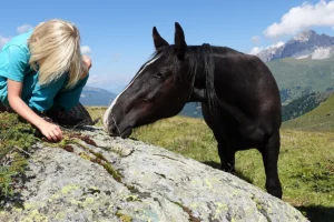 Calido La Helvetica (Pferdezucht «Criollo La Helvetica», Igls Lareschs, Tinizong)