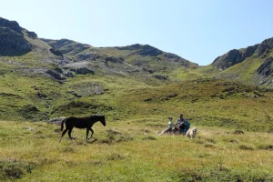Dalia La Helvetica (Pferdezucht «Criollo La Helvetica», Igls Lareschs, Tinizong)