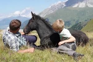 Domingo La Helvetica (Pferdezucht «Criollo La Helvetica», Igls Lareschs, Tinizong)