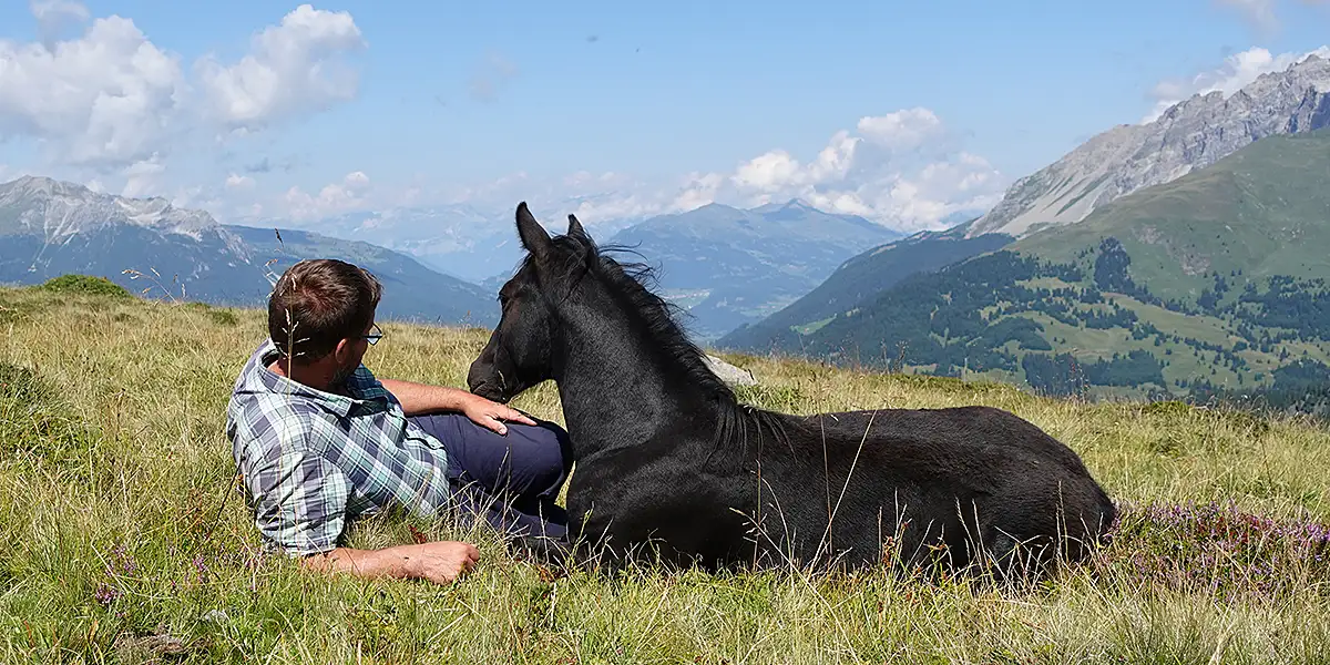Igls Lareschs, Tinizong – Pferdezucht «Criollo La Helvetica»